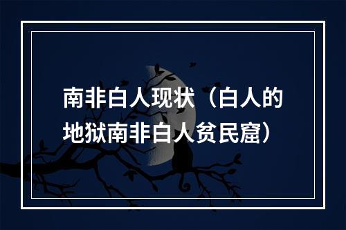南非白人现状（白人的地狱南非白人贫民窟）