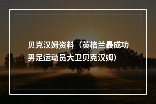 贝克汉姆资料（英格兰最成功男足运动员大卫贝克汉姆）