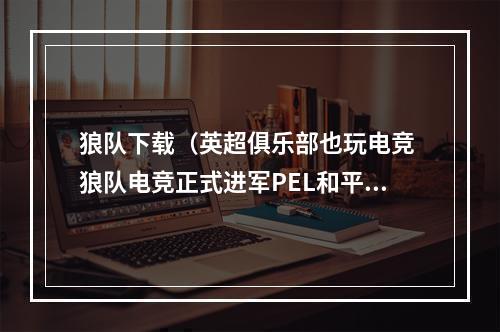 狼队下载（英超俱乐部也玩电竞 狼队电竞正式进军PEL和平精英职业联赛）