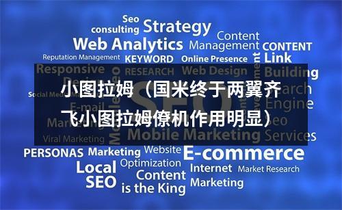 小图拉姆（国米终于两翼齐飞小图拉姆僚机作用明显）