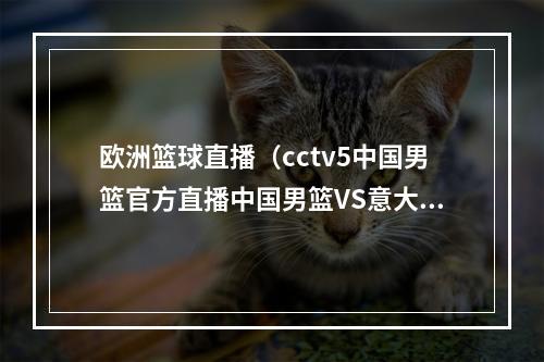 欧洲篮球直播（cctv5中国男篮官方直播中国男篮VS意大利中文视频高清观看）
