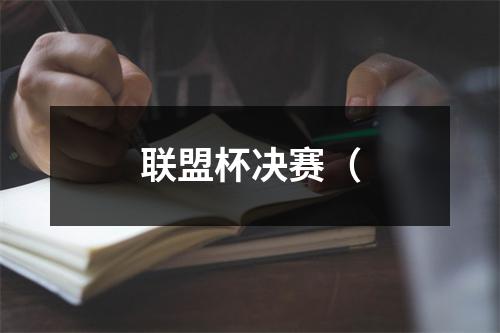 联盟杯决赛（