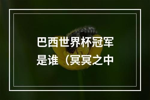 巴西世界杯冠军是谁（冥冥之中