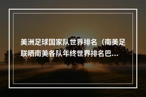 美洲足球国家队世界排名（南美足联晒南美各队年终世界排名巴西居首）
