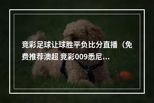 竞彩足球让球胜平负比分直播（免费推荐澳超 竞彩009悉尼FC vs 布里斯班狮吼）