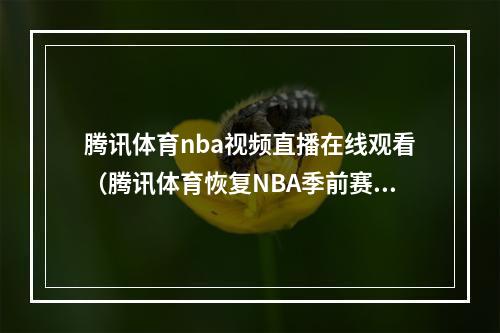 腾讯体育nba视频直播在线观看（腾讯体育恢复NBA季前赛直播）