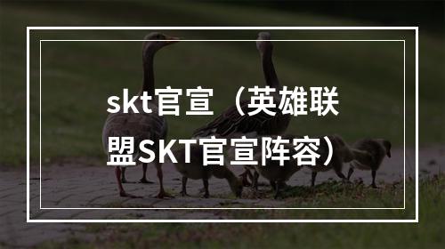 skt官宣（英雄联盟SKT官宣阵容）