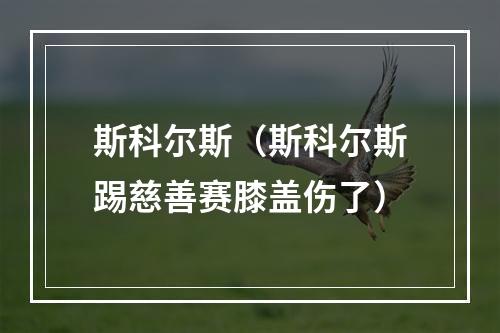 斯科尔斯（斯科尔斯踢慈善赛膝盖伤了）