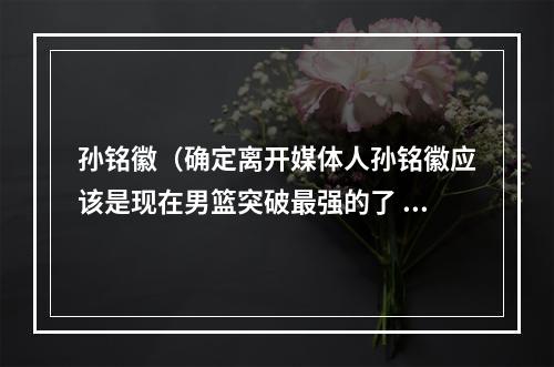 孙铭徽（确定离开媒体人孙铭徽应该是现在男篮突破最强的了 还是没能留队）