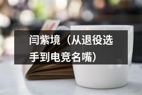 闫紫境（从退役选手到电竞名嘴）