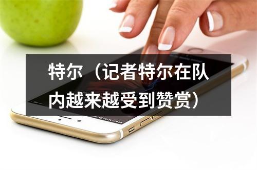 特尔（记者特尔在队内越来越受到赞赏）