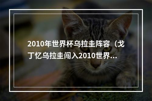 2010年世界杯乌拉圭阵容（戈丁忆乌拉圭闯入2010世界杯那段艰难经历铸就后来的辉煌成就）