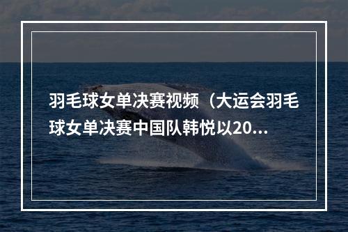 羽毛球女单决赛视频（大运会羽毛球女单决赛中国队韩悦以20战胜了韩国队金佳览夺冠）