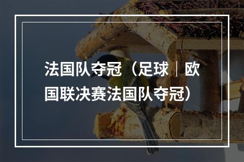 法国队夺冠（足球｜欧国联决赛法国队夺冠）