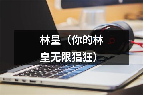 林皇（你的林皇无限猖狂）