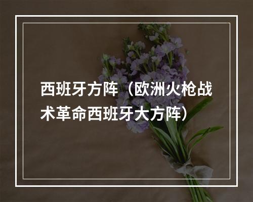 西班牙方阵（欧洲火枪战术革命西班牙大方阵）
