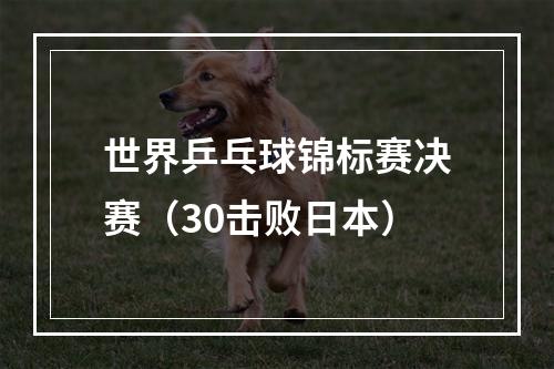 世界乒乓球锦标赛决赛（30击败日本）