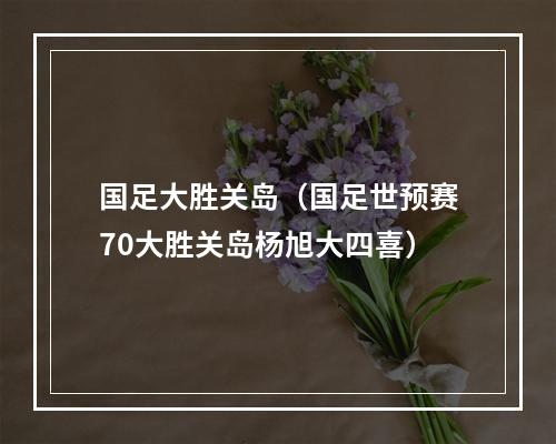 国足大胜关岛（国足世预赛70大胜关岛杨旭大四喜）