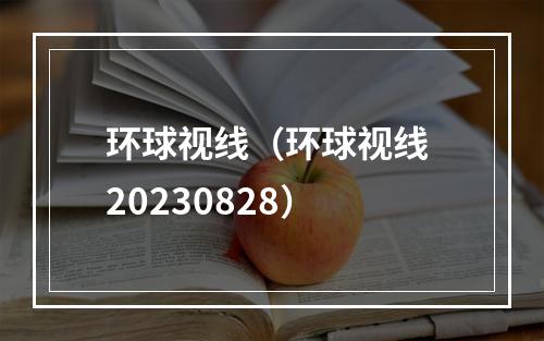 环球视线（环球视线 20230828）