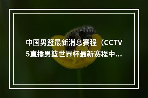 中国男篮最新消息赛程（CCTV5直播男篮世界杯最新赛程中国男篮将对阵南苏丹队）