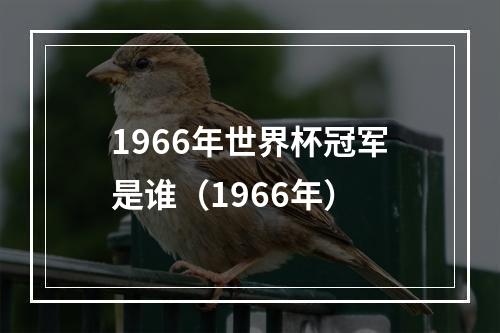 1966年世界杯冠军是谁（1966年）