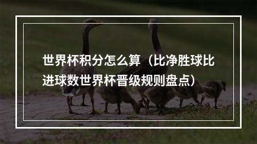 世界杯积分怎么算（比净胜球比进球数世界杯晋级规则盘点）