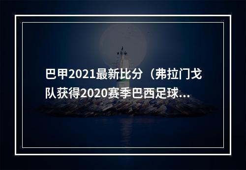 巴甲2021最新比分（弗拉门戈队获得2020赛季巴西足球甲级联赛冠军）