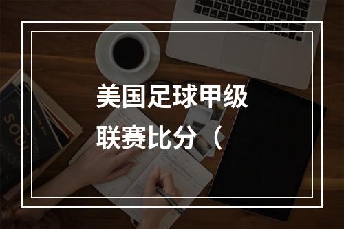 美国足球甲级联赛比分（