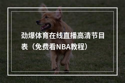 劲爆体育在线直播高清节目表（免费看NBA教程）