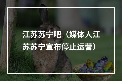 江苏苏宁吧（媒体人江苏苏宁宣布停止运营）