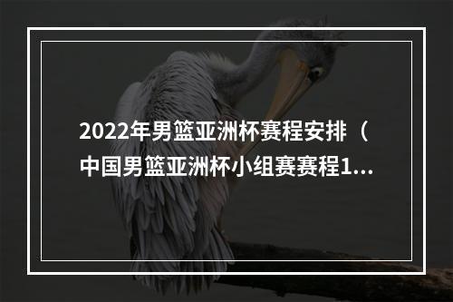 2022年男篮亚洲杯赛程安排（中国男篮亚洲杯小组赛赛程12号晚上9点首战韩国）
