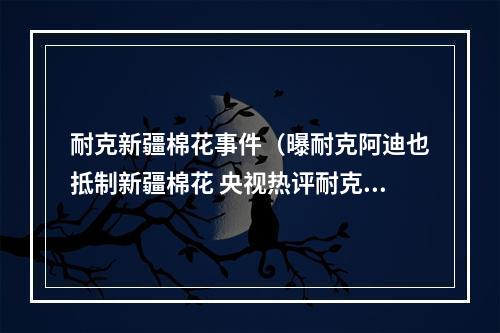 耐克新疆棉花事件（曝耐克阿迪也抵制新疆棉花 央视热评耐克难克不容无良企业乱弹）