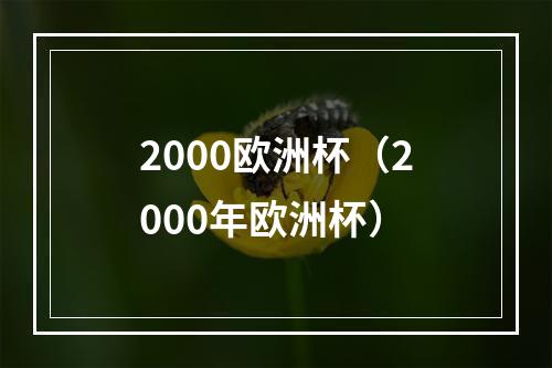 2000欧洲杯（2000年欧洲杯）