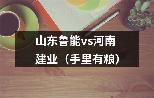 山东鲁能vs河南建业（手里有粮）