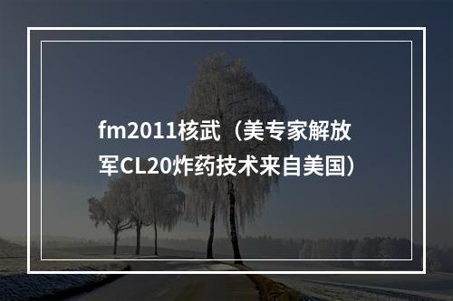 fm2011核武（美专家解放军CL20炸药技术来自美国）