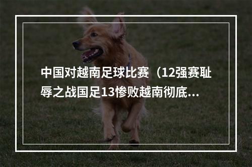 中国对越南足球比赛（12强赛耻辱之战国足13惨败越南彻底无缘世界杯）