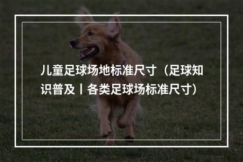 儿童足球场地标准尺寸（足球知识普及丨各类足球场标准尺寸）