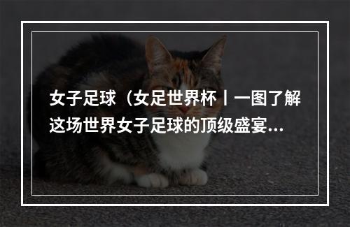 女子足球（女足世界杯丨一图了解这场世界女子足球的顶级盛宴）