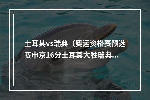 土耳其vs瑞典（奥运资格赛预选赛申京16分土耳其大胜瑞典）