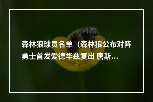 森林狼球员名单（森林狼公布对阵勇士首发爱德华兹复出 唐斯戈贝尔出战）