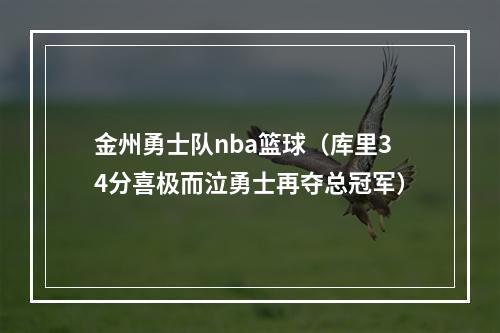 金州勇士队nba篮球（库里34分喜极而泣勇士再夺总冠军）
