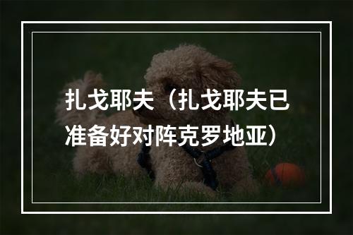 扎戈耶夫（扎戈耶夫已准备好对阵克罗地亚）