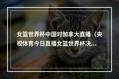 女篮世界杯中国对加拿大直播（央视体育今日直播女篮世界杯决赛中国美国）