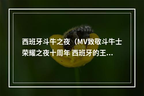 西班牙斗牛之夜（MV致敬斗牛士荣耀之夜十周年 西班牙的王朝巅峰）