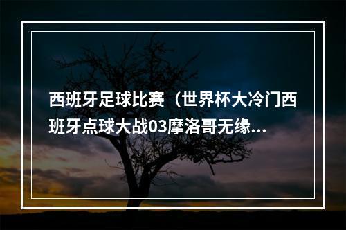 西班牙足球比赛（世界杯大冷门西班牙点球大战03摩洛哥无缘8强 布努连扑两点）