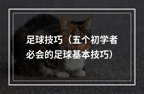 足球技巧（五个初学者必会的足球基本技巧）