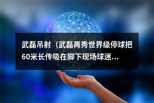 武磊吊射（武磊再秀世界级停球把60米长传吸在脚下现场球迷一片掌声）