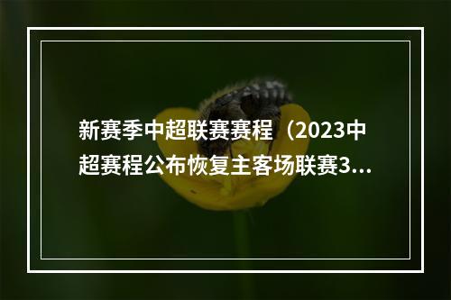 新赛季中超联赛赛程（2023中超赛程公布恢复主客场联赛30轮240场揭幕战国安vs梅州）