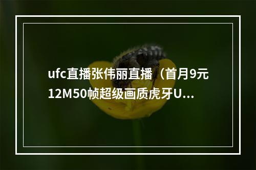 ufc直播张伟丽直播（首月9元12M50帧超级画质虎牙UFC上线）