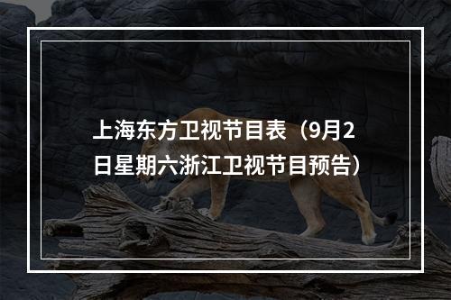 上海东方卫视节目表（9月2日星期六浙江卫视节目预告）